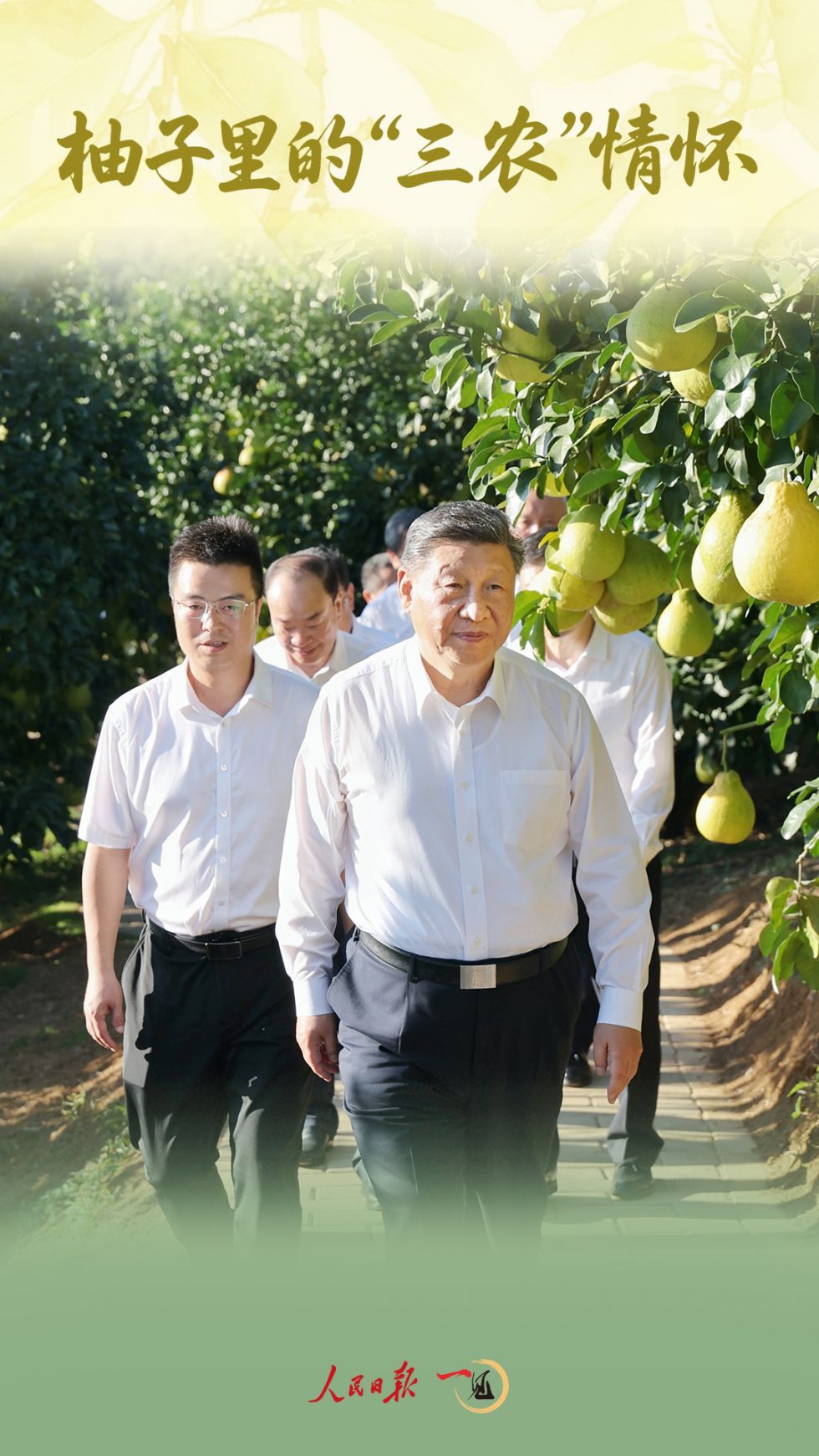 d8d1667050014129bfbeca0ad3761ba9