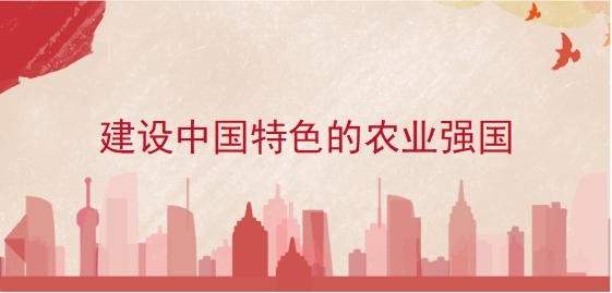 建设中国特色的农业强国