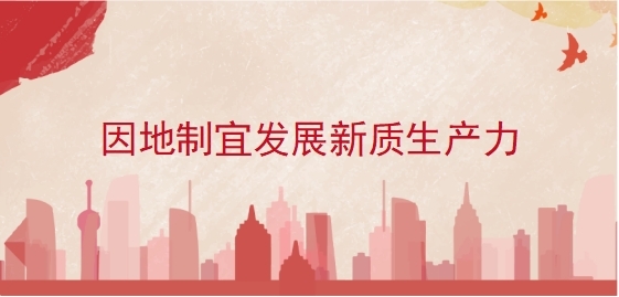 因地制宜發(fā)展新質(zhì)生產(chǎn)力