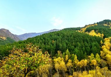 【党员课堂】清风扬帆：深入推进新时代党的作风建设