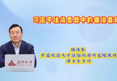 习近平法治思想中的德治意蕴