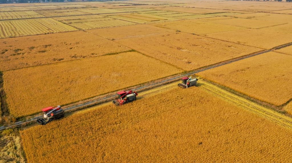 增肥黑土地 筑牢大粮仓——吉林加强黑土地保护一线观察