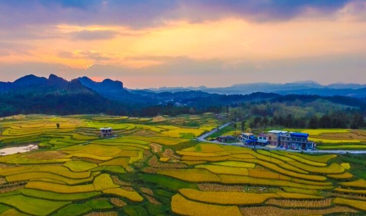 专家解读·十五五丨积极应对人口老龄化