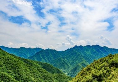 【党员课堂】“天下至德，莫大于忠”：对党绝对忠诚的重大意义与实践要求