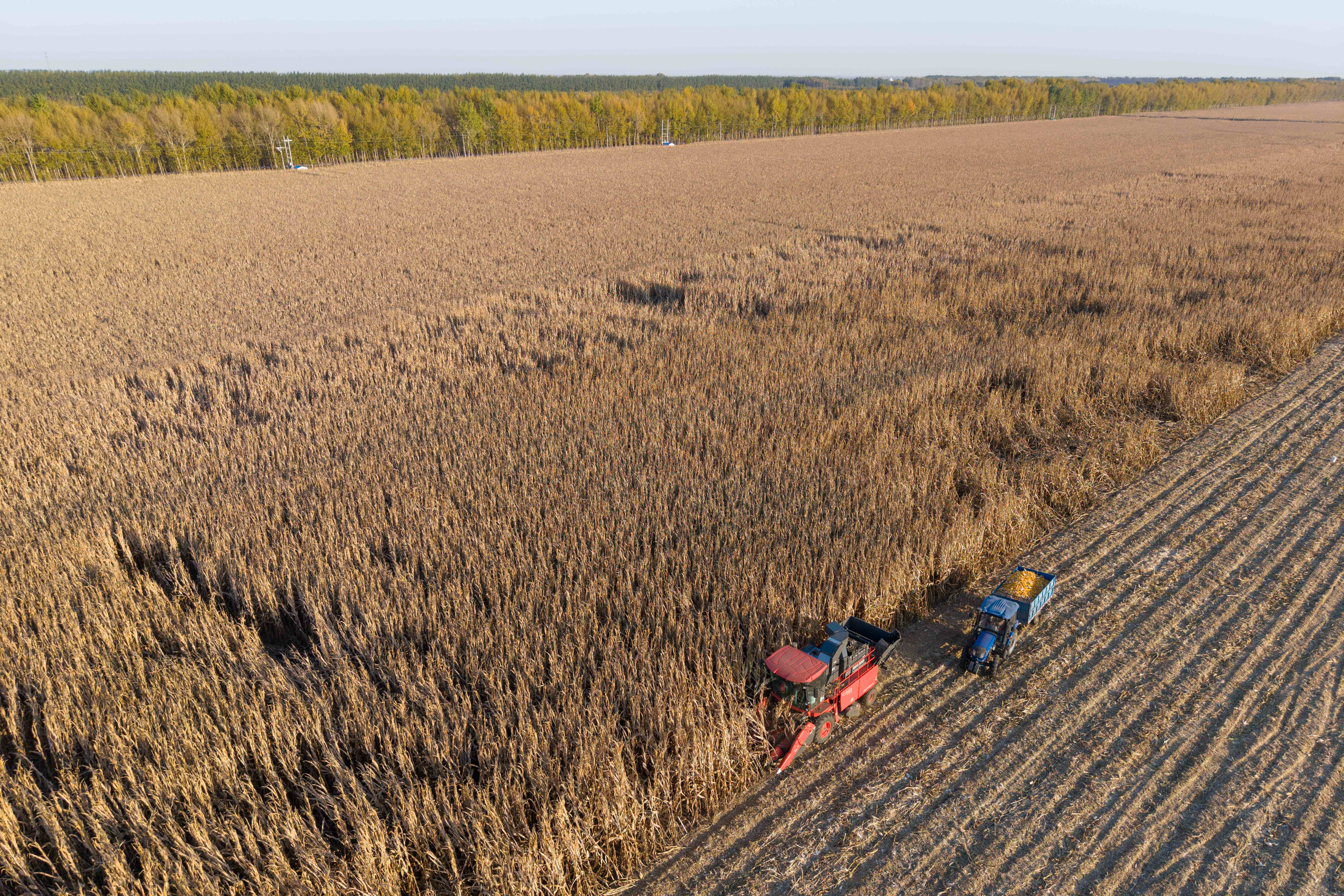 创新驱动涉农企业领跑，托举农业强国未来