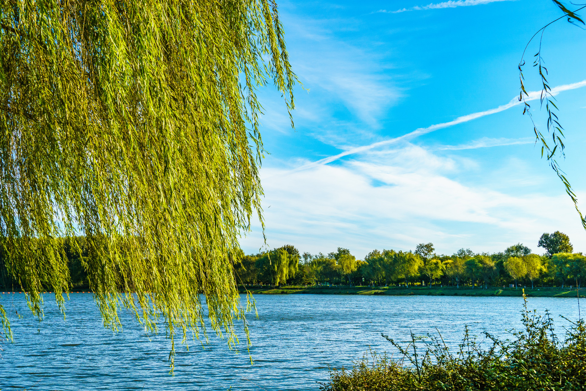 张文婷：建设人与自然和谐共生的美丽北京