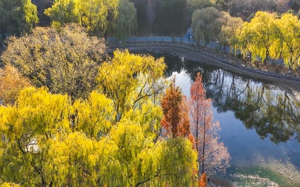 张奎：中国特色社会主义文化何以自信？