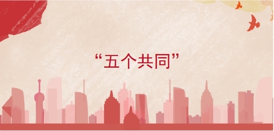 “五个共同”