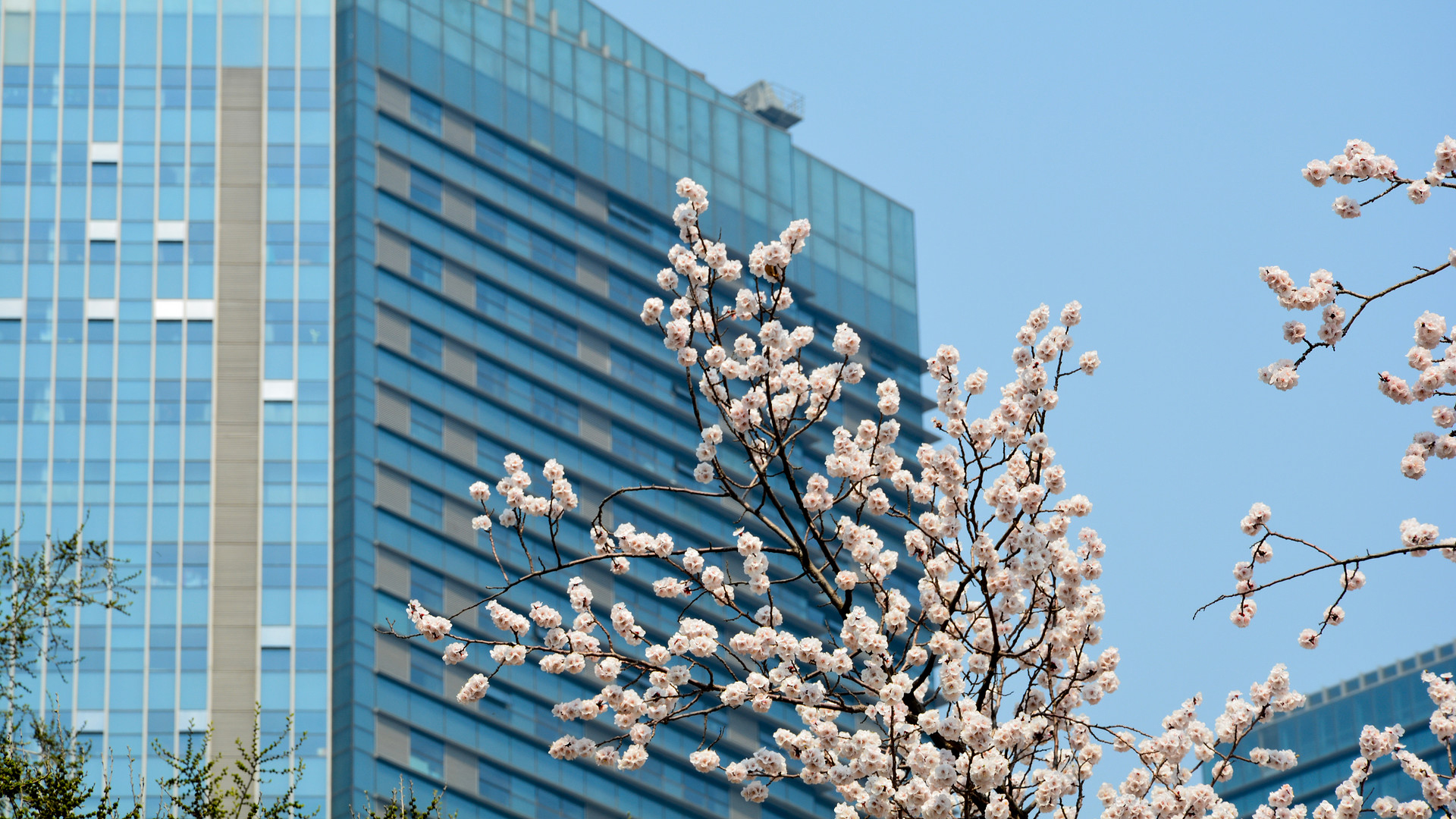 曹琪:深化“昌盛模式” 提升党建引领基层治理水平