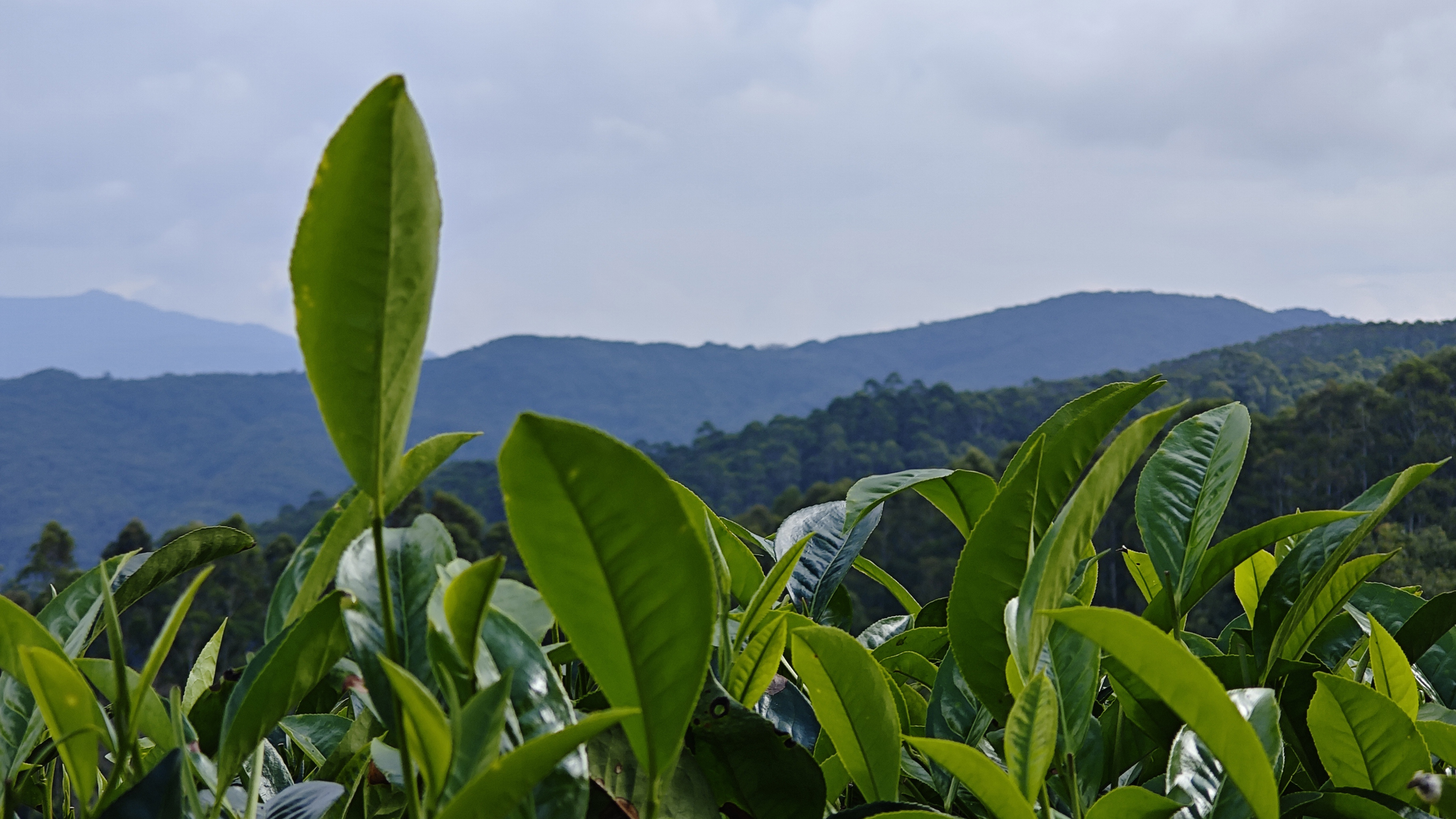 韩小楠：数字经济是推动中国式现代化的重要引擎