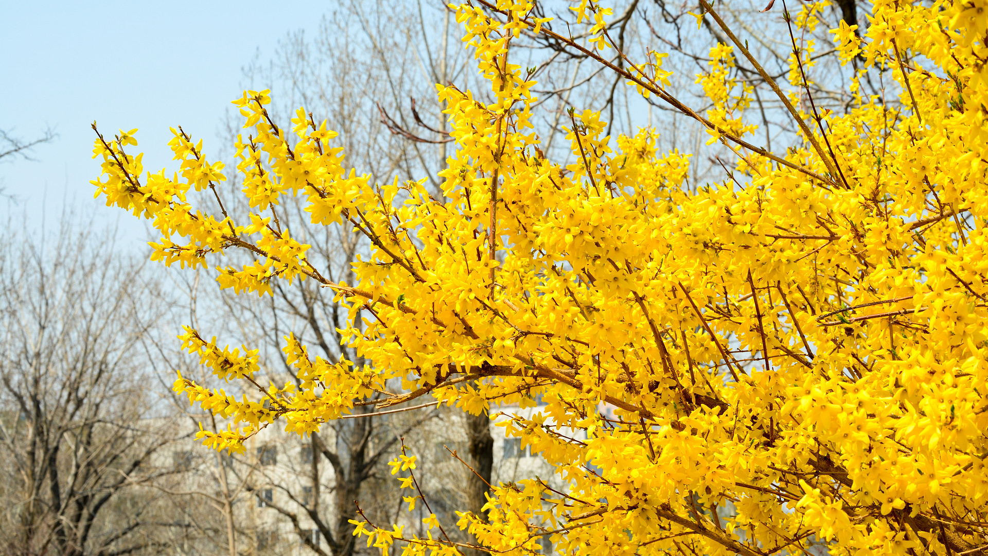黄玥：从亮马河蝶变看以高品质生态环境支撑高质量发展