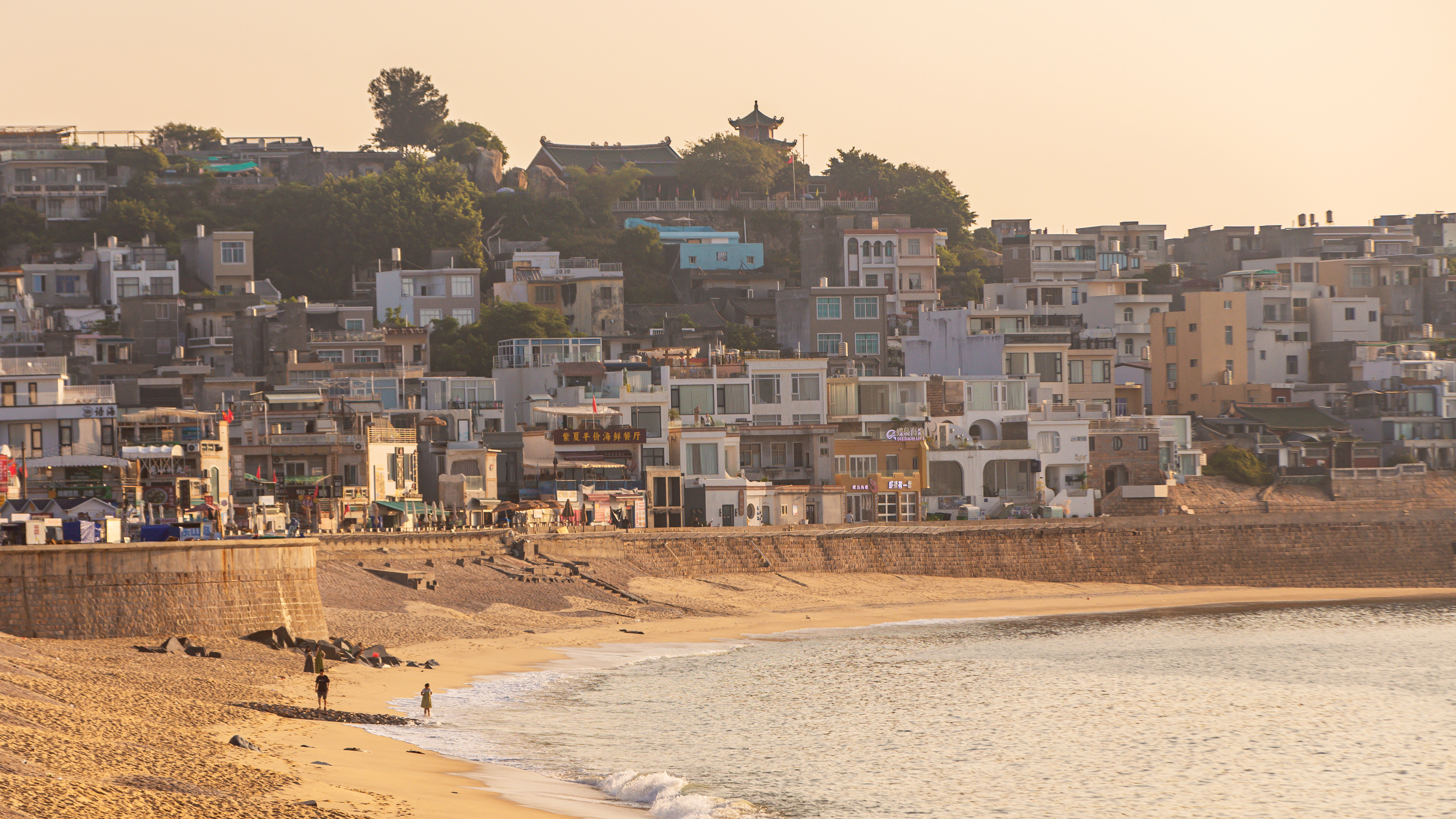 陈志刚:深刻把握党的二十届四中全会提出的新概念新观点新论断——学习贯彻党的二十届四中全会精神