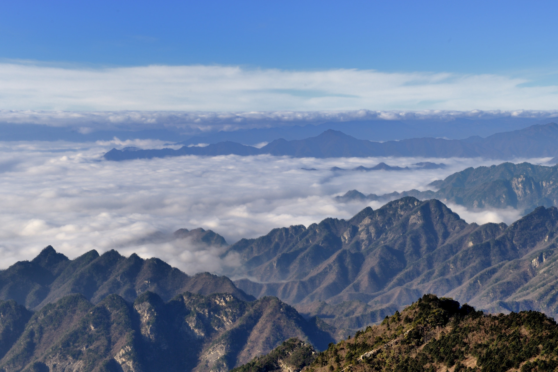 【党员课堂】“天下至德，莫大于忠”：对党绝对忠诚的重大意义与实践要求