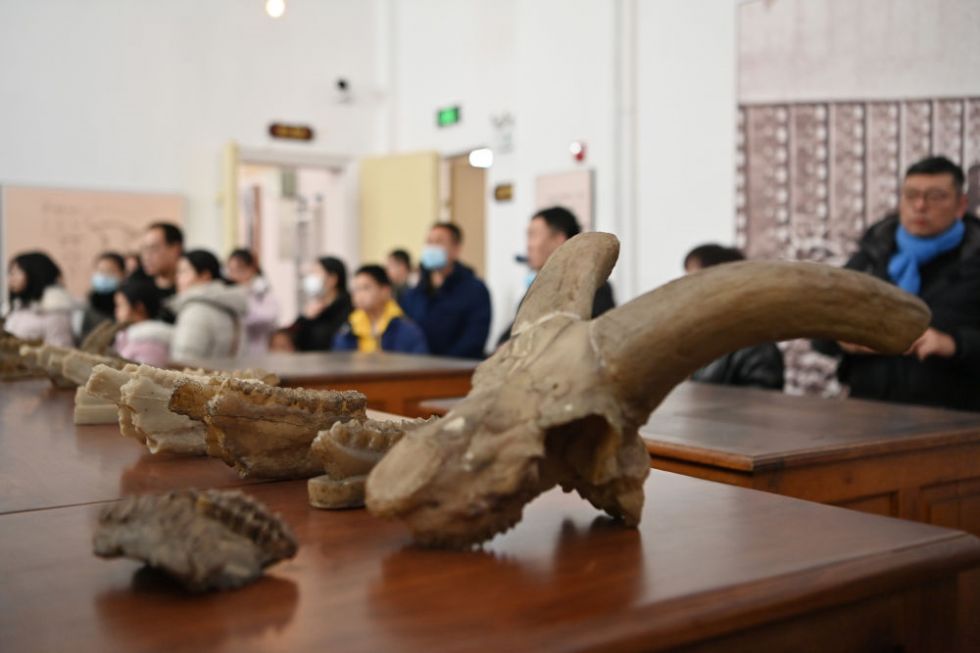 8月1日，位于法国巴黎的赛努奇博物馆，专家正在进行甲骨文数字化采集工作。新华社记者 孙鑫晶 摄