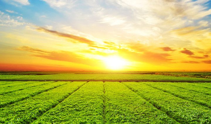 推进领导干部能上能下常态化