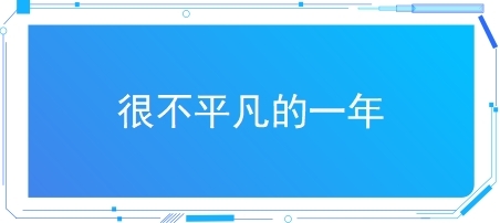 很不平凡的一年