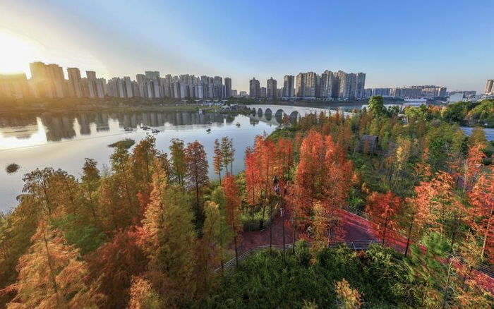 戴立兴:党的全面领导是实现“十五五”目标任务的根本保证——学习贯彻党的二十届四中全会精神