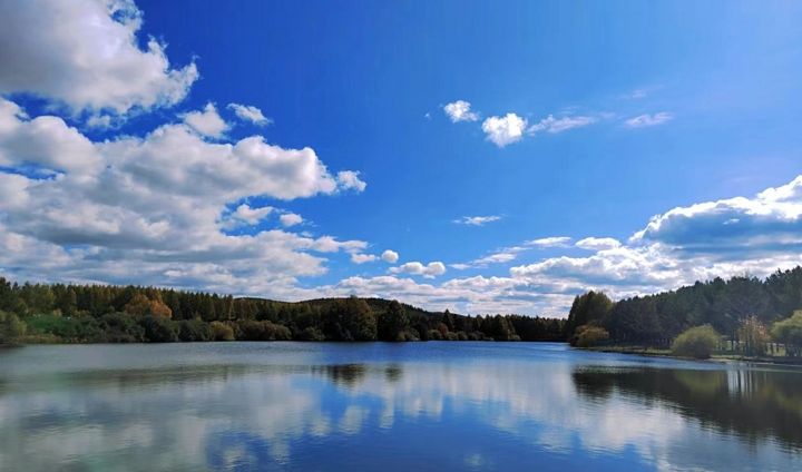 深刻把握《习近平谈治国理政》第五卷的新思想新观点新论断