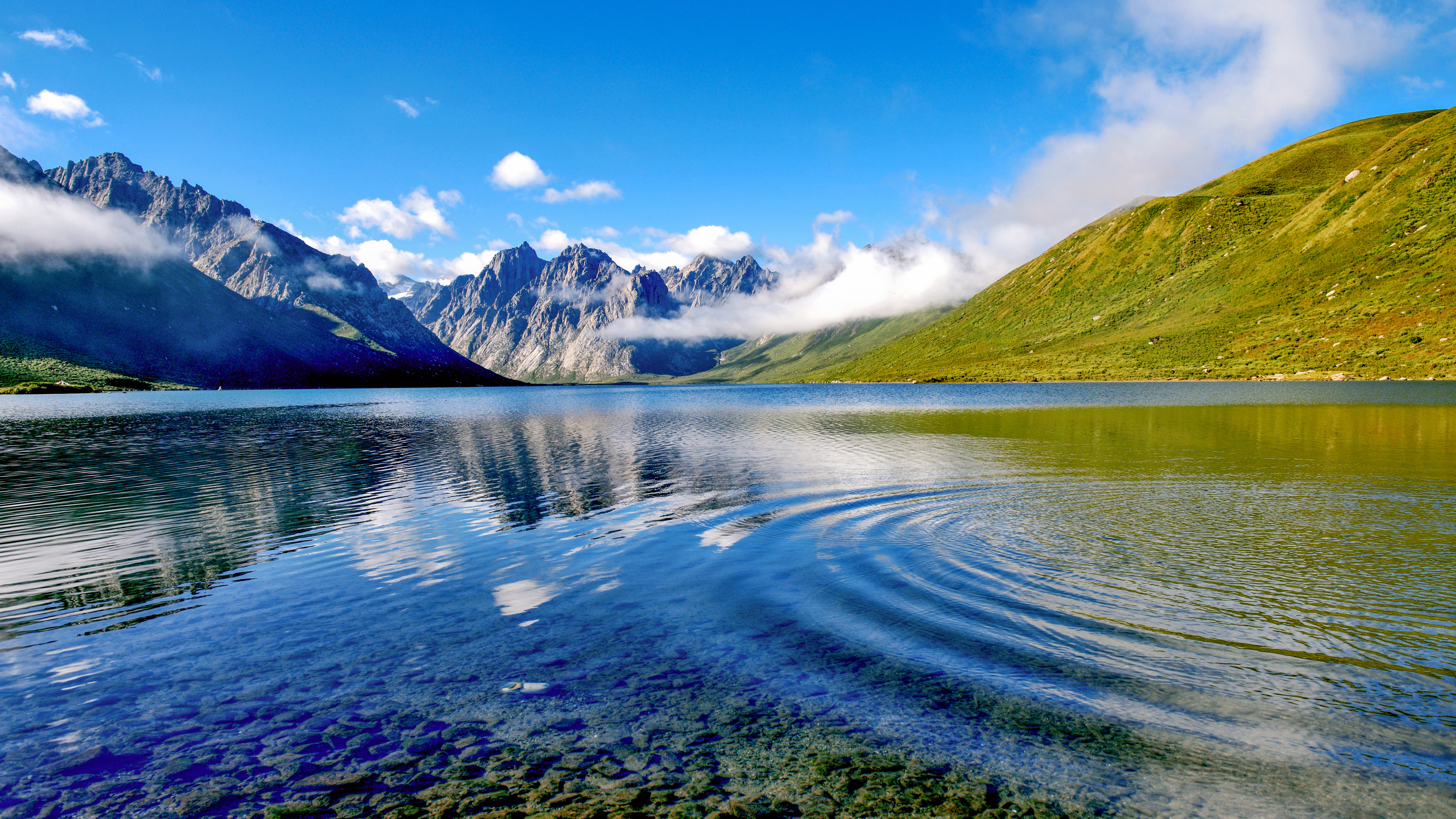 张晨熹：关于坚持和加强党的全面领导的几点思考