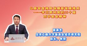 以新安全格局保障新发展格局——学习贯彻党的二十届四中全会精神