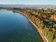 【党员课堂】新时代加强党的政治建设的目的及贯彻落实