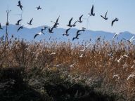 【党员课堂】党的作风建设是全面从严治党的重要组成部分