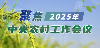 聚焦2025年中央农村工作会议