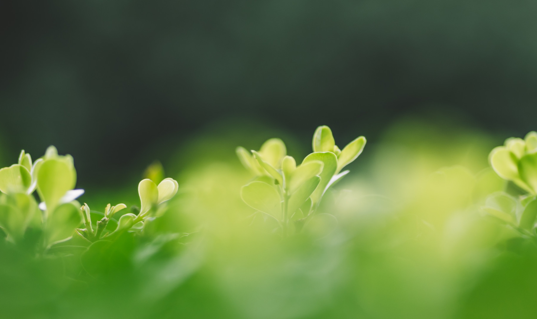 年终盘点 |《宣讲家网》2025年点击率TOP10文章！