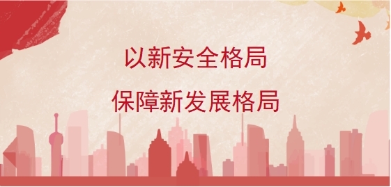 以新安全格局保障新发展格局