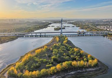 【党员课堂】以党章和党的二十届四中全会精神为指导 推动全面从严治党向纵深发展