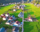 扎实推进乡村全面振兴——学习贯彻中央农村工作会议精神