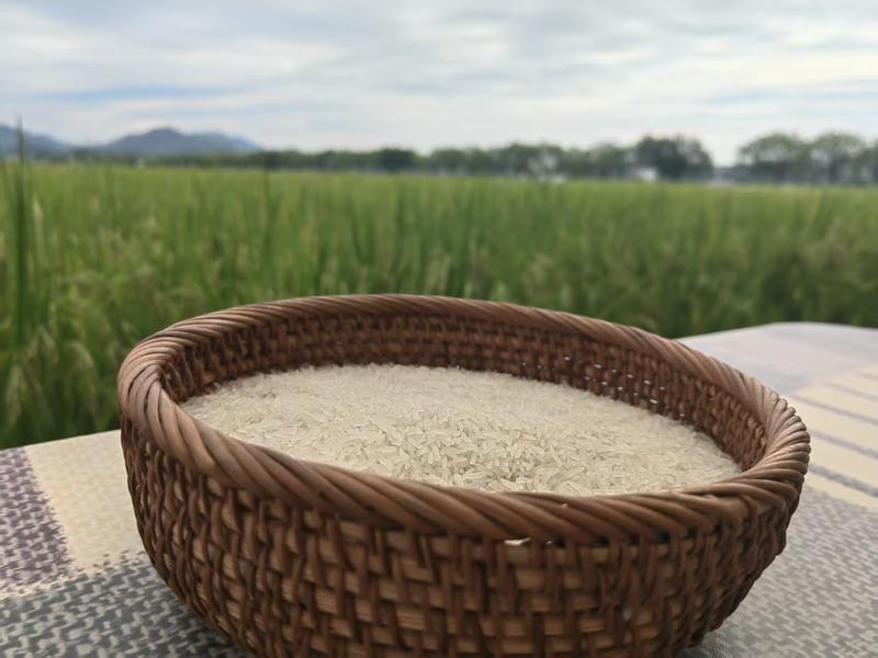 持续擦亮特色产业增收致富“金名片”