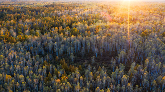 【党员课堂】孙照红：以上率下是党风建设的必然逻辑