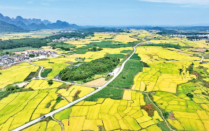 郭兆晖:绘就人与自然和谐共生的“两山”新画卷——深入学习贯彻习近平生态文明思想暨“两山”理念提出20周年