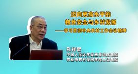 迈向更高水平的粮食安全与乡村发展——学习贯彻中央农村工作会议精神