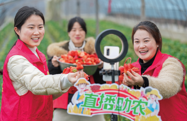 2025年2月27日,浙江省湖州市长兴县画溪街道包桥中心幼儿园青年 党员志愿者,用网络直播销售新鲜草莓。