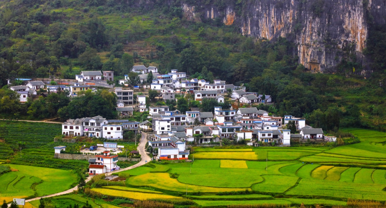 一题一解“十五五”新生活|如何加快农业农村现代化步伐?