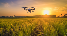 迈向更高水平的粮食安全与乡村发展——学习贯彻中央农村工作会议精神