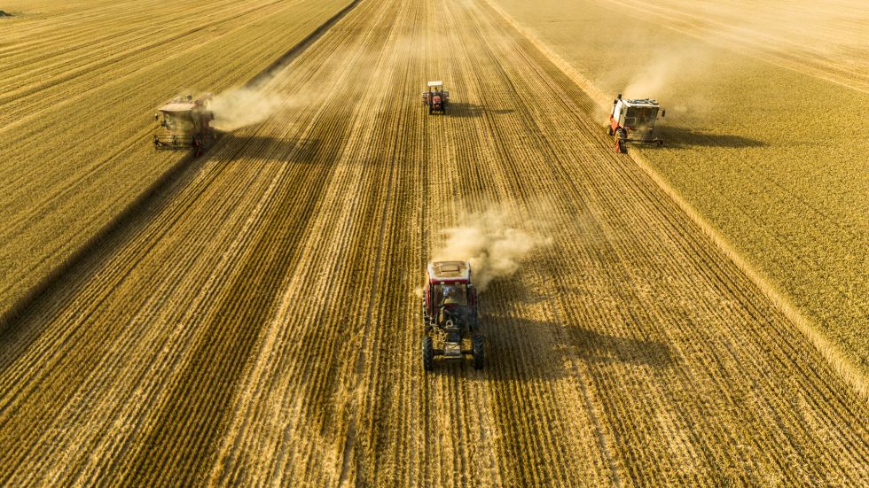 2025年6月4日，在河南省商丘市梁园区李庄镇潘堂村志诚种植农民专业合作社，农机手操作收割机、秸秆还田机、玉米精量播种机作业（无人机照片）。新华社发（李恒摄）