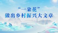 “一朵花”做出乡村振兴大文章
