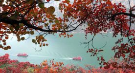  【理论看点】孙应帅：敢于担当、善于作为，走好新时代党的群众路线