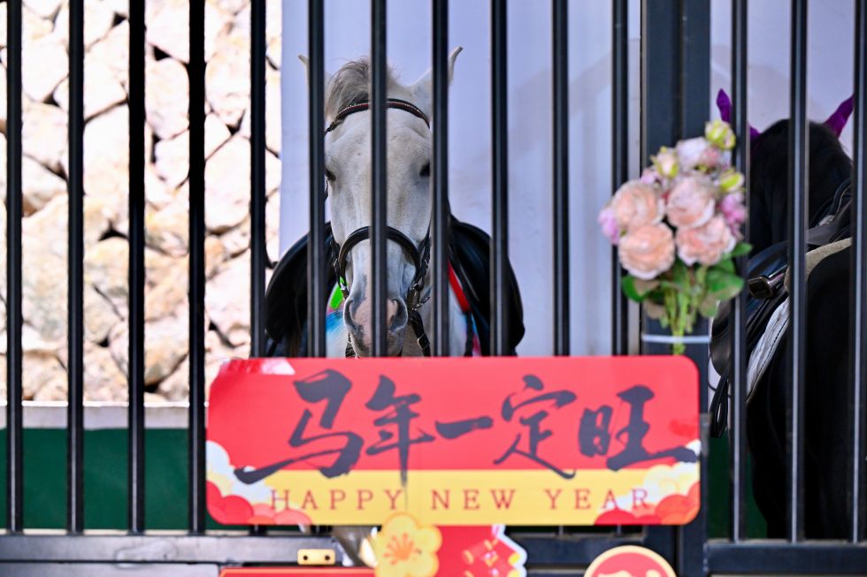 2026年 2月7日,福建省霞浦县宏昌工业文创基地马房内张贴着马年祝福语。 新华社记者 姜克红 摄