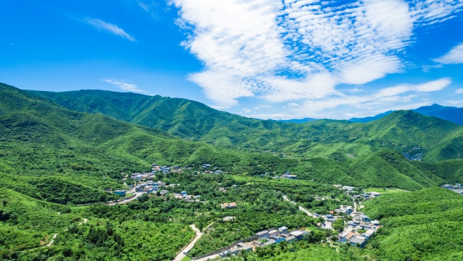 李海峰：从《道德经》中汲取生命成长的智慧