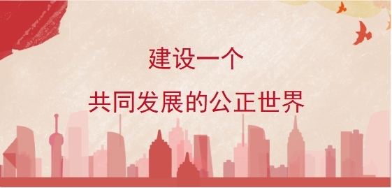 建设一个共同发展的公正世界