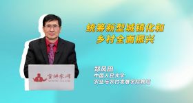 统筹新型城镇化和乡村全面振兴