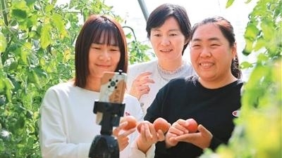 “看着乡亲们的腰包越来越鼓,我打心底里高兴”