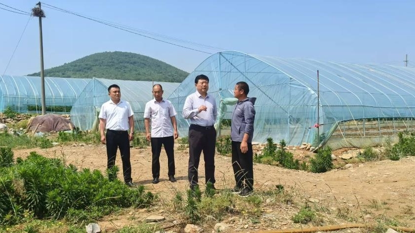 全国政协委员王传喜：用脚步丈量民生 为农民解困办事