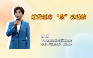 消费活力 “京”彩绽放