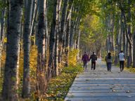 消费活力 “京”彩绽放