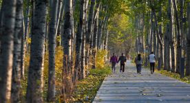 消费活力 “京”彩绽放